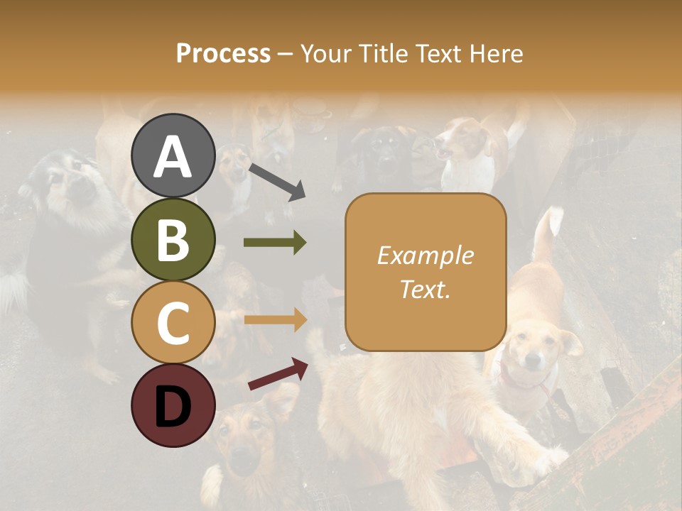 Hungry Hound Eyes PowerPoint Template