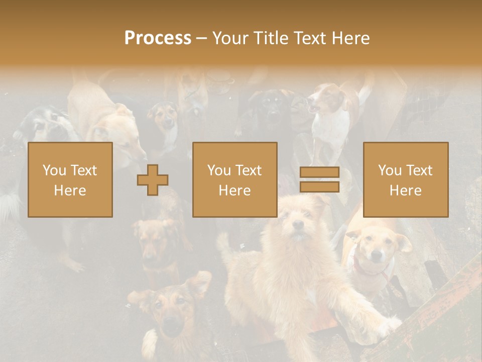 Hungry Hound Eyes PowerPoint Template