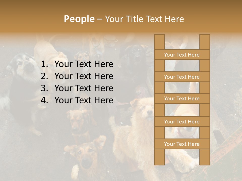 Hungry Hound Eyes PowerPoint Template