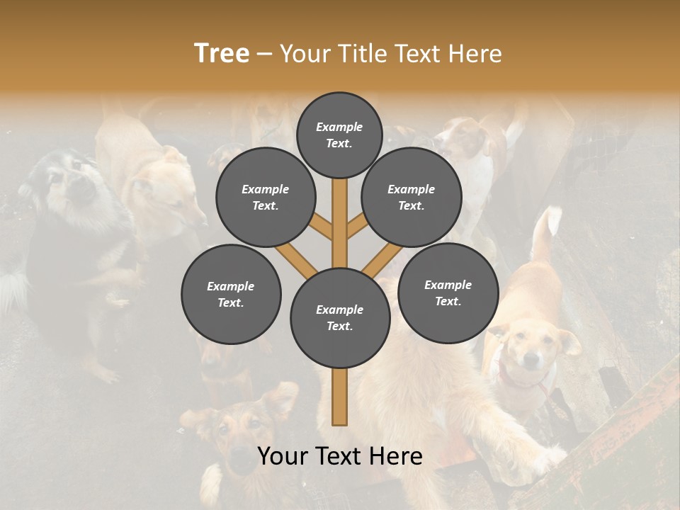 Hungry Hound Eyes PowerPoint Template