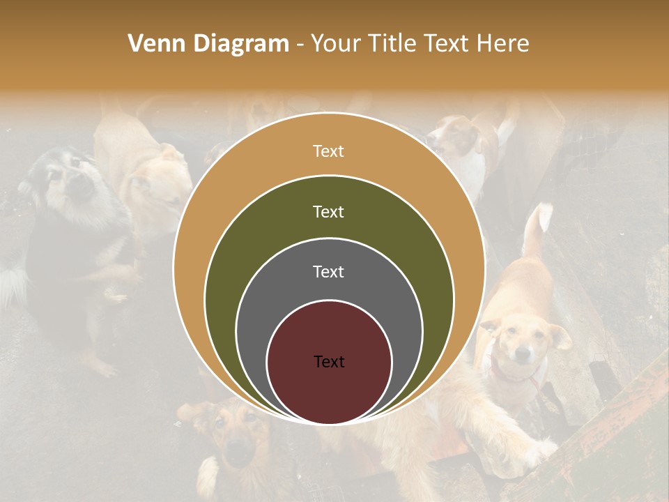 Hungry Hound Eyes PowerPoint Template