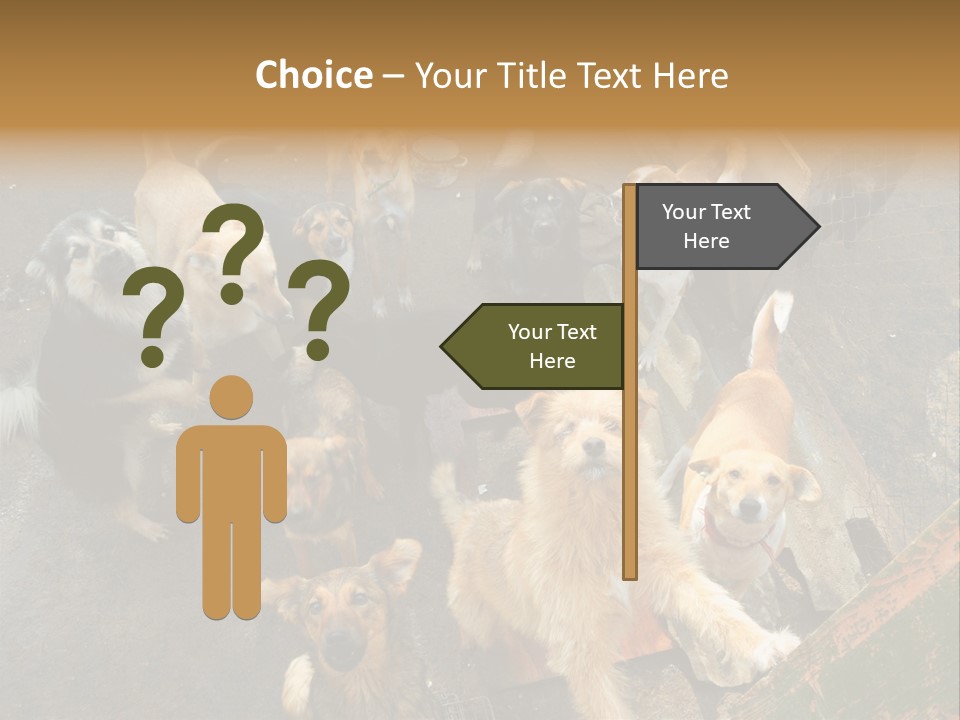 Hungry Hound Eyes PowerPoint Template