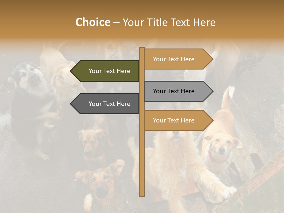 Hungry Hound Eyes PowerPoint Template