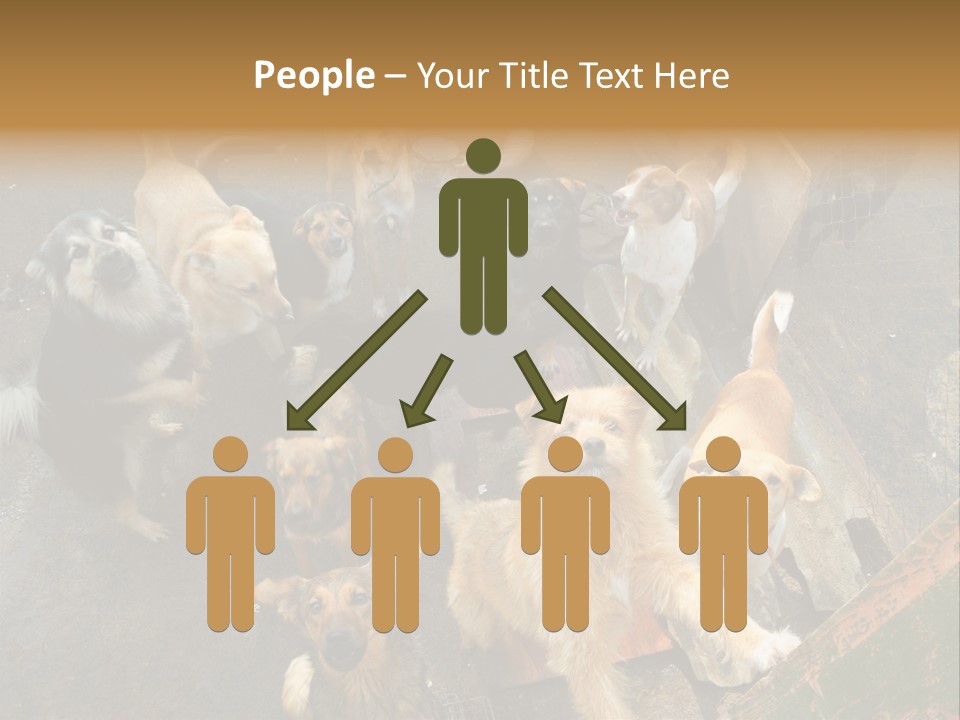 Hungry Hound Eyes PowerPoint Template