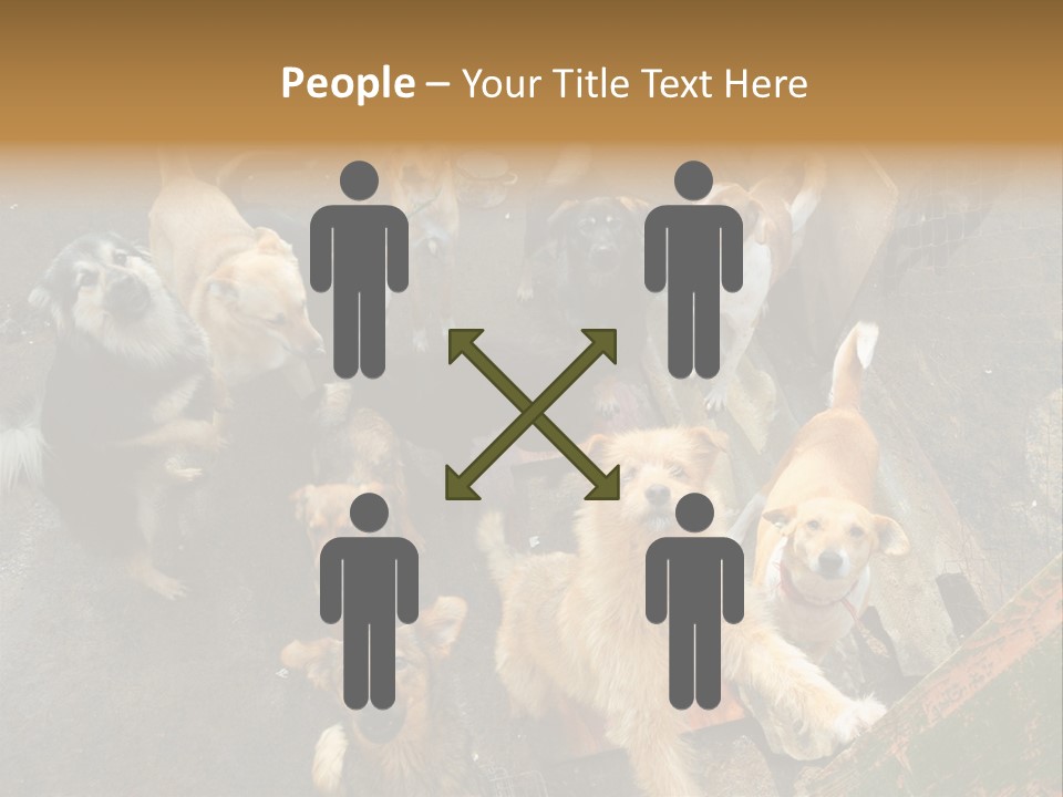 Hungry Hound Eyes PowerPoint Template