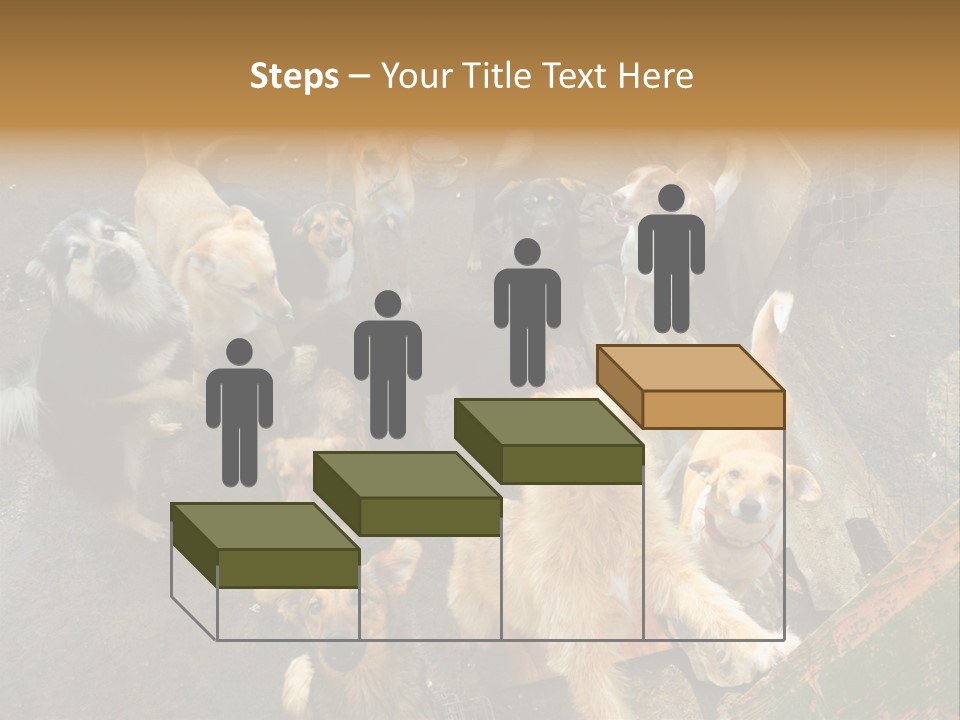 Hungry Hound Eyes PowerPoint Template