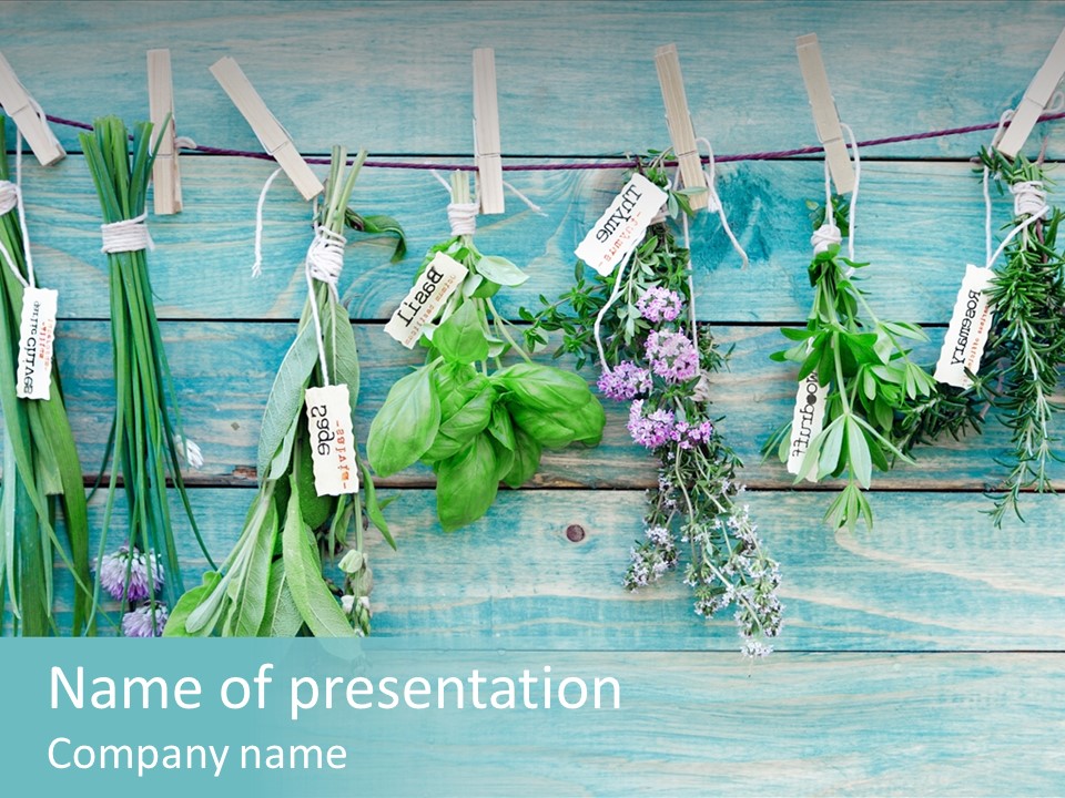 Herb Flowering Thyme PowerPoint Template