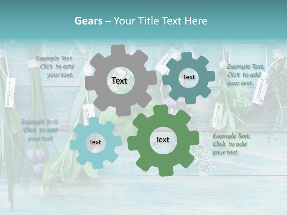 Herb Flowering Thyme PowerPoint Template