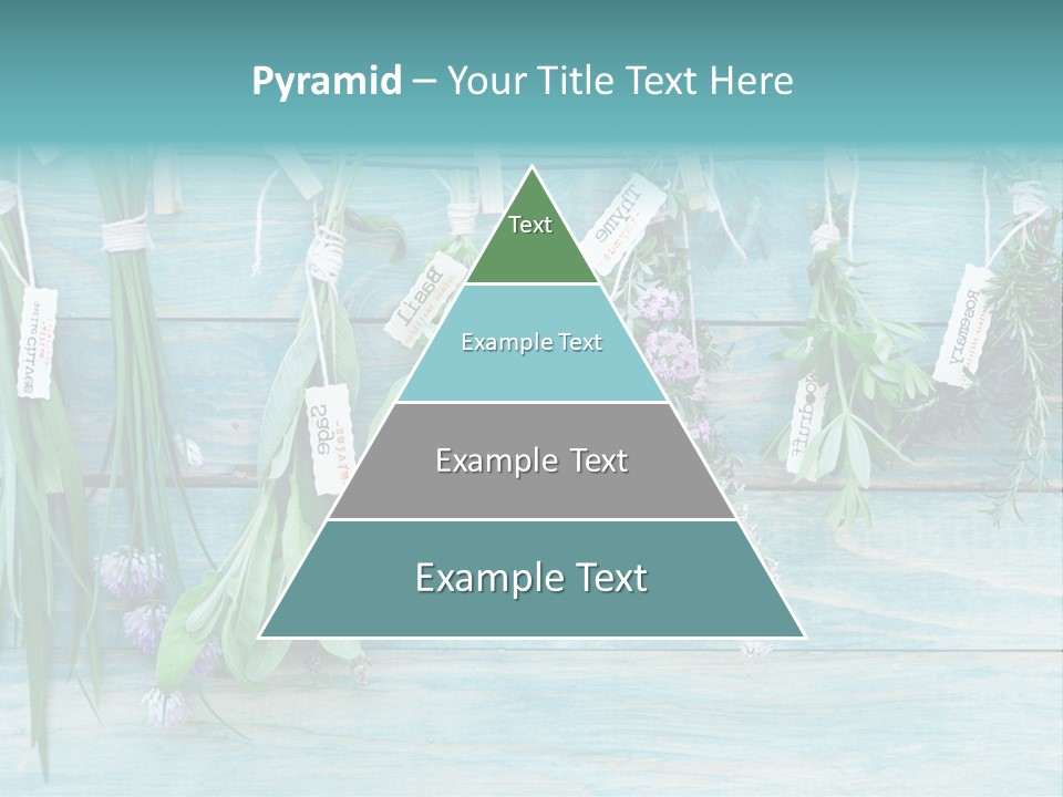 Herb Flowering Thyme PowerPoint Template