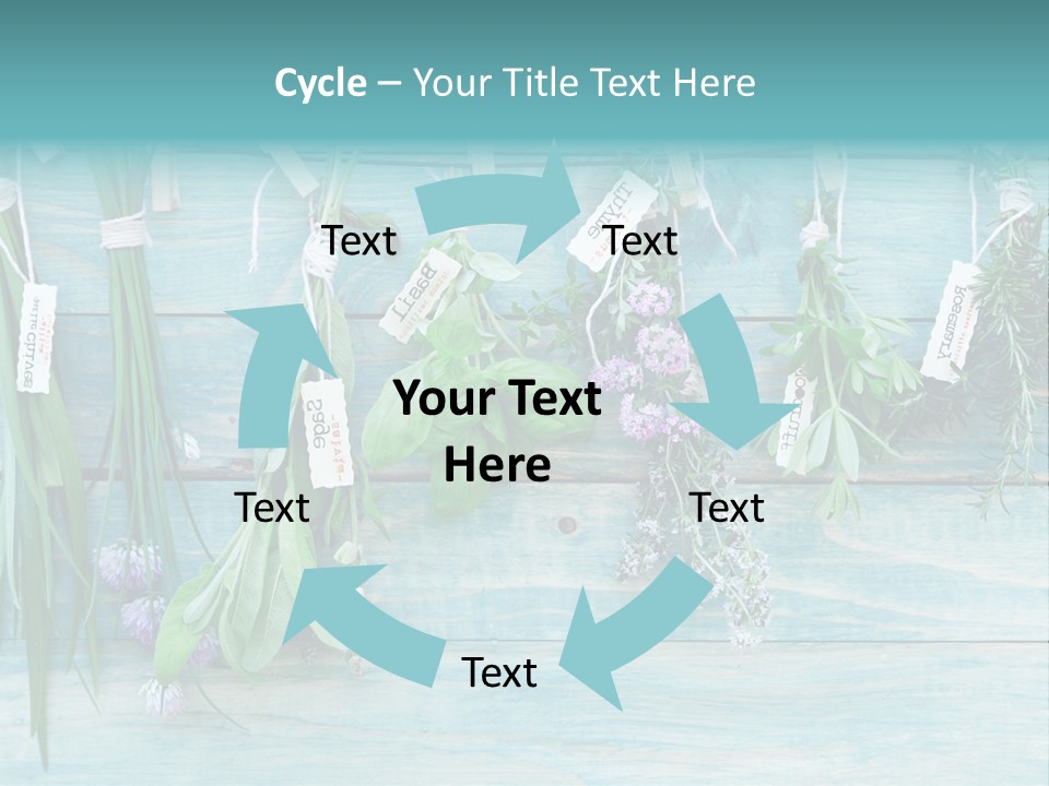 Herb Flowering Thyme PowerPoint Template