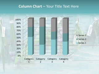 Herb Flowering Thyme PowerPoint Template