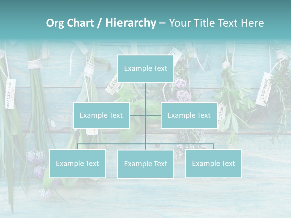 Herb Flowering Thyme PowerPoint Template