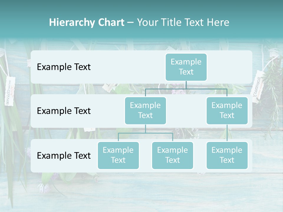 Herb Flowering Thyme PowerPoint Template