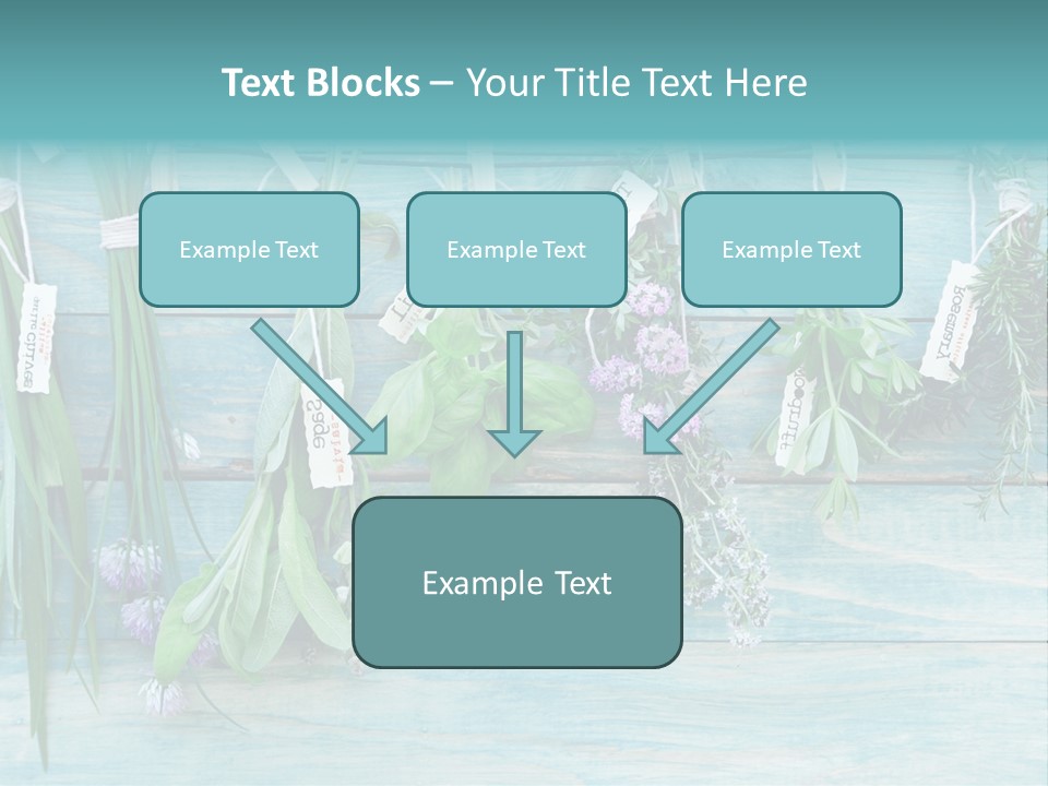 Herb Flowering Thyme PowerPoint Template