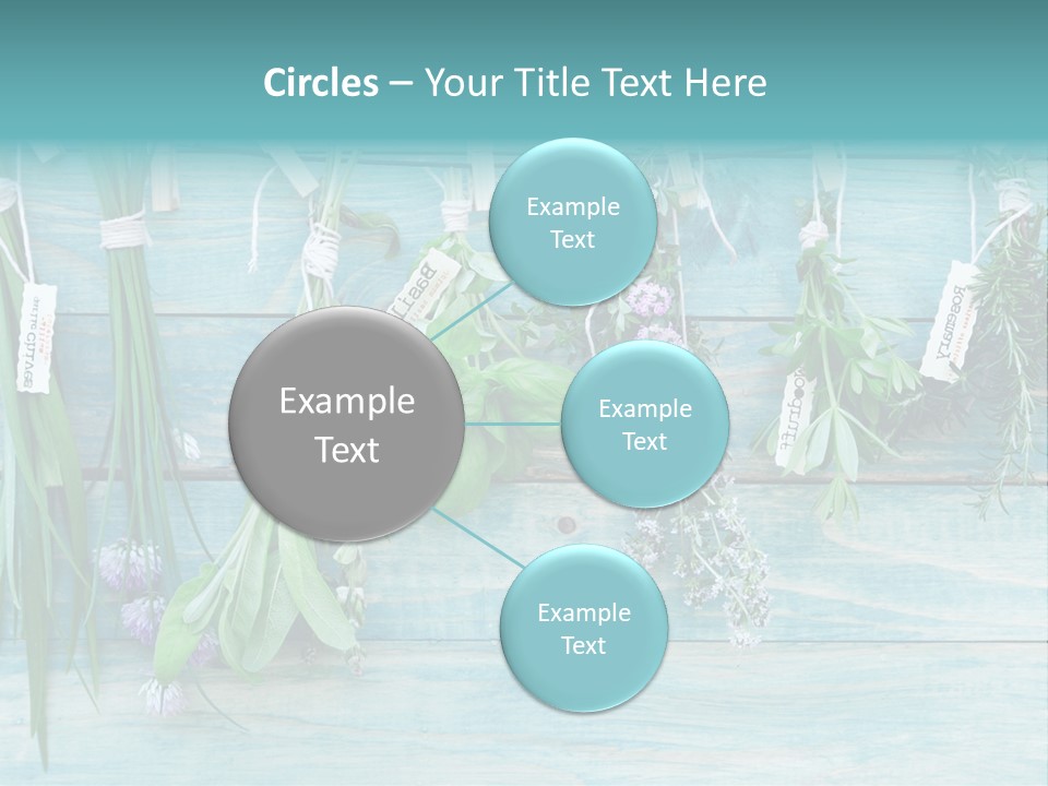 Herb Flowering Thyme PowerPoint Template