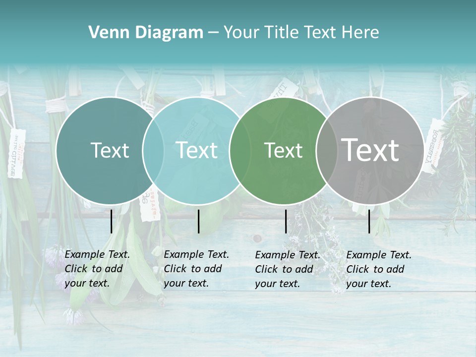 Herb Flowering Thyme PowerPoint Template
