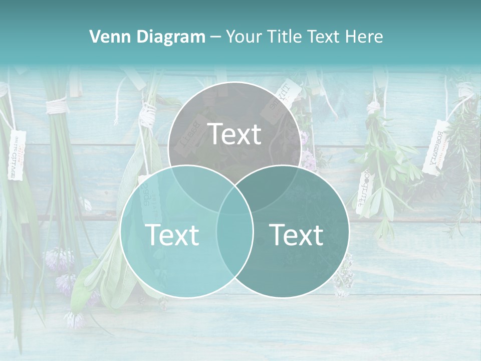 Herb Flowering Thyme PowerPoint Template