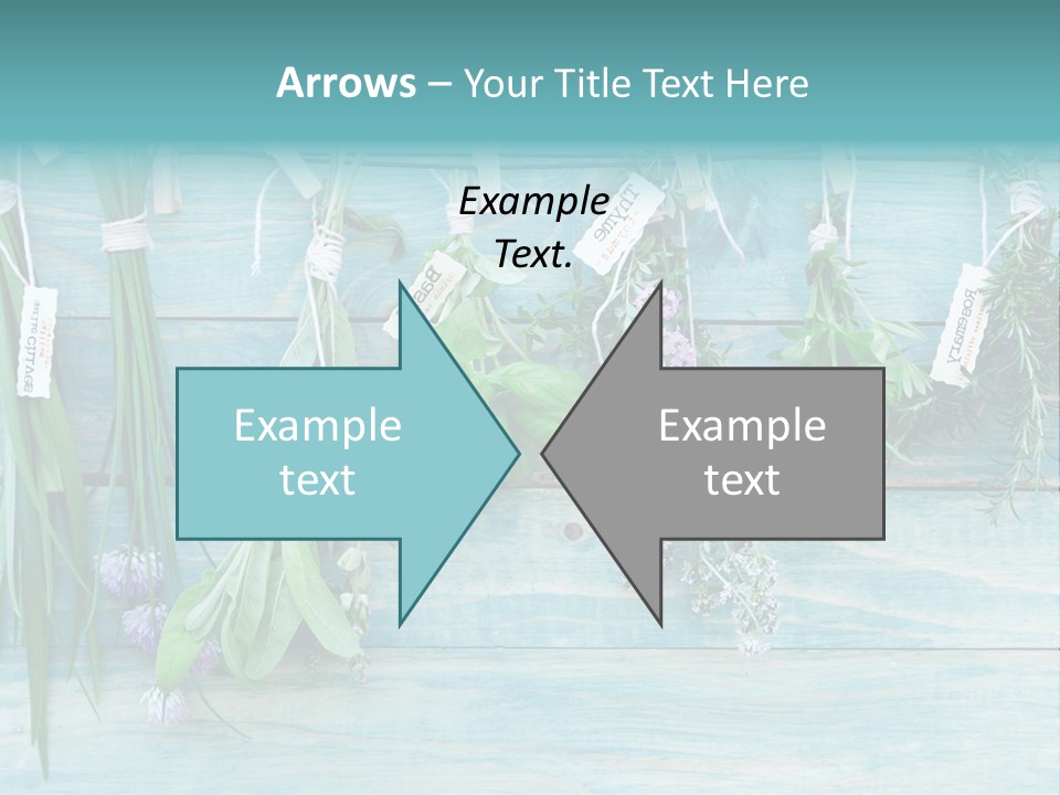 Herb Flowering Thyme PowerPoint Template