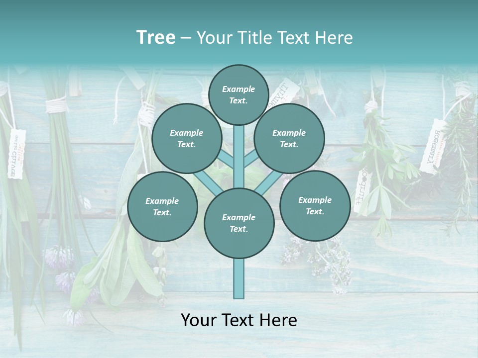 Herb Flowering Thyme PowerPoint Template