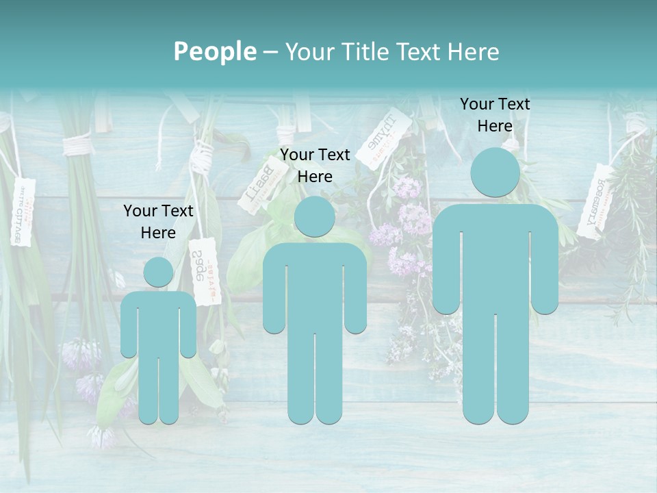 Herb Flowering Thyme PowerPoint Template