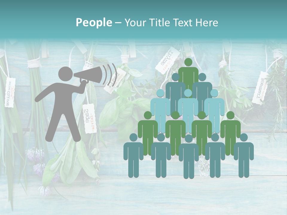 Herb Flowering Thyme PowerPoint Template