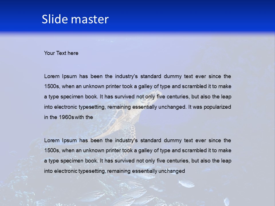 Sun Bottom Diver PowerPoint Template