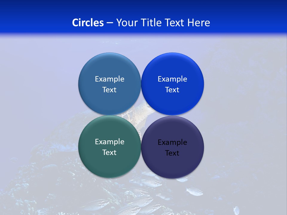 Sun Bottom Diver PowerPoint Template