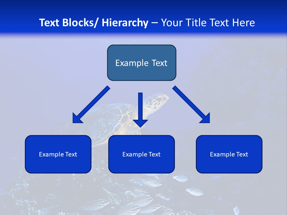Sun Bottom Diver PowerPoint Template