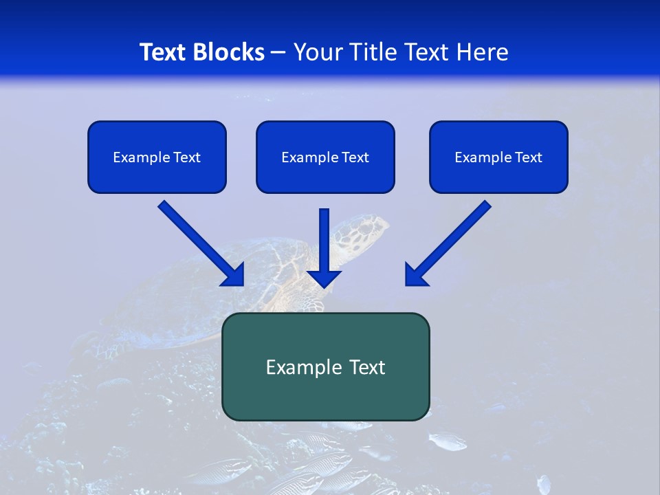 Sun Bottom Diver PowerPoint Template