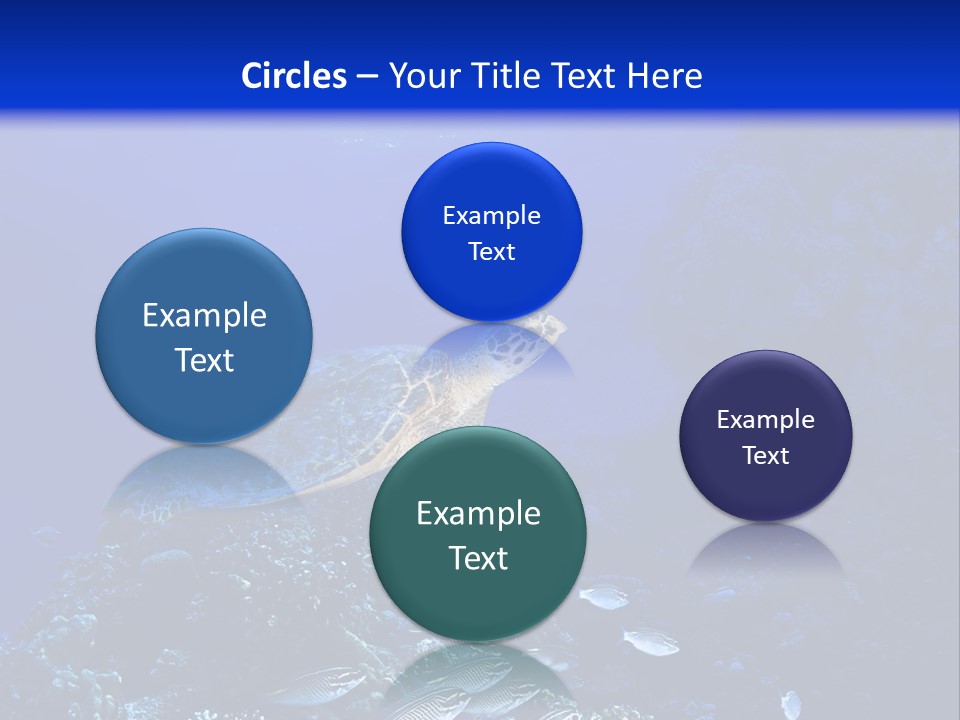 Sun Bottom Diver PowerPoint Template