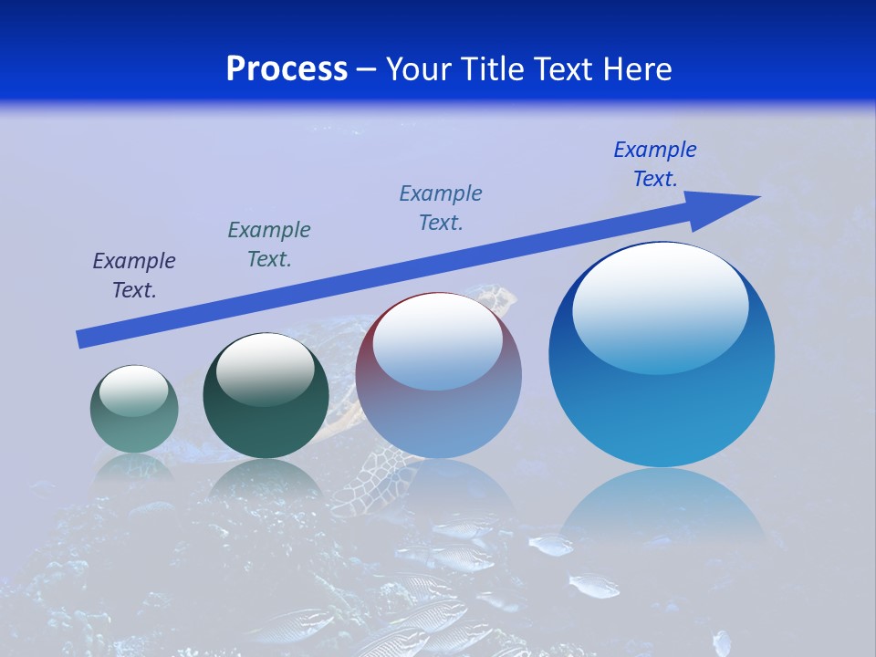 Sun Bottom Diver PowerPoint Template