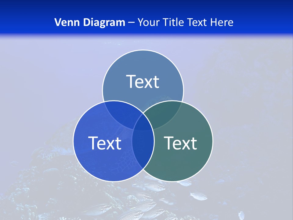 Sun Bottom Diver PowerPoint Template