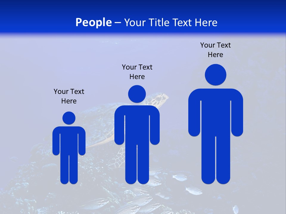 Sun Bottom Diver PowerPoint Template