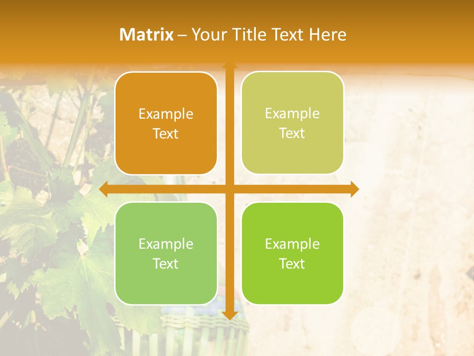 Physical Fitness Cartoon Lifestyle PowerPoint Template