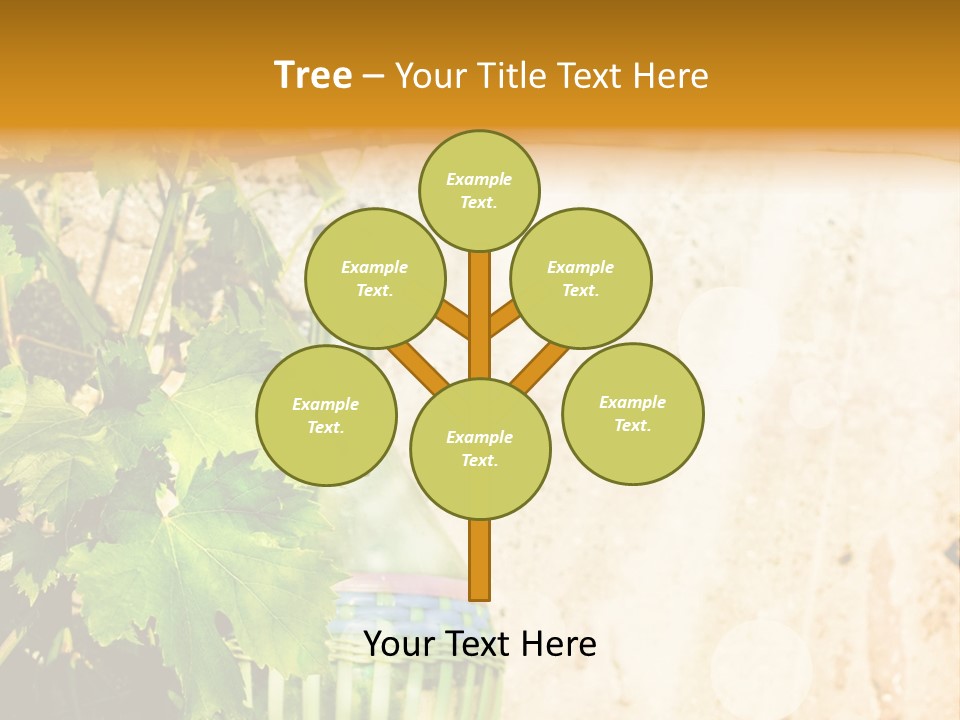 Physical Fitness Cartoon Lifestyle PowerPoint Template