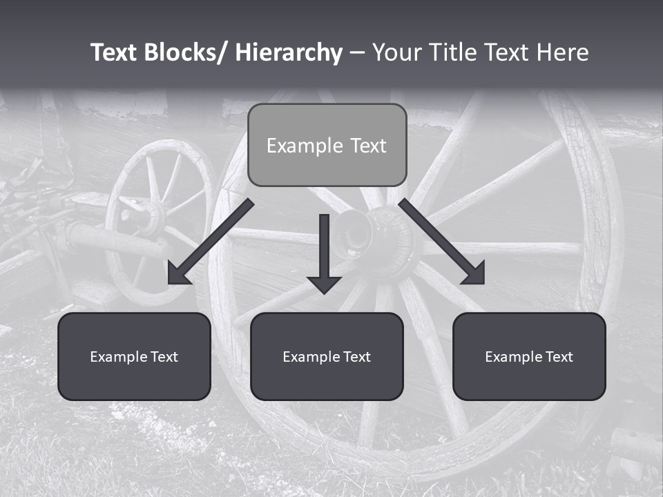Vector Young Podgy PowerPoint Template