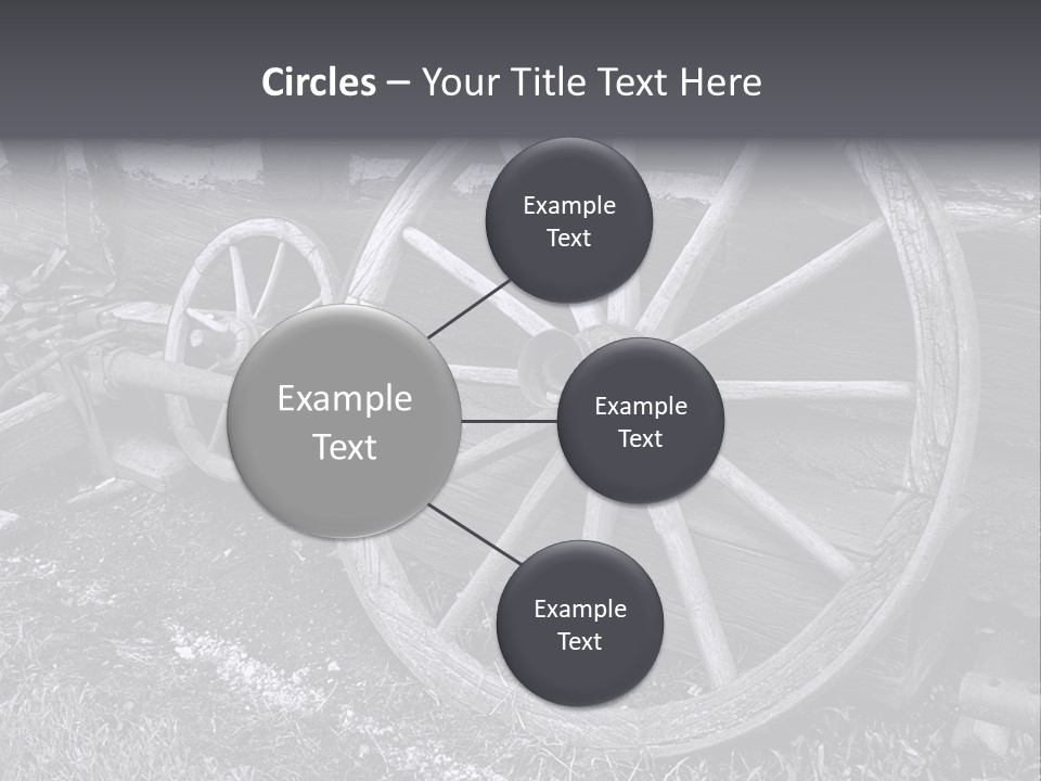 Vector Young Podgy PowerPoint Template