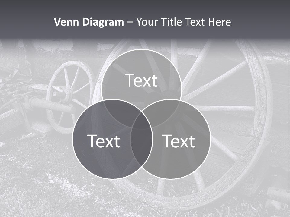 Vector Young Podgy PowerPoint Template