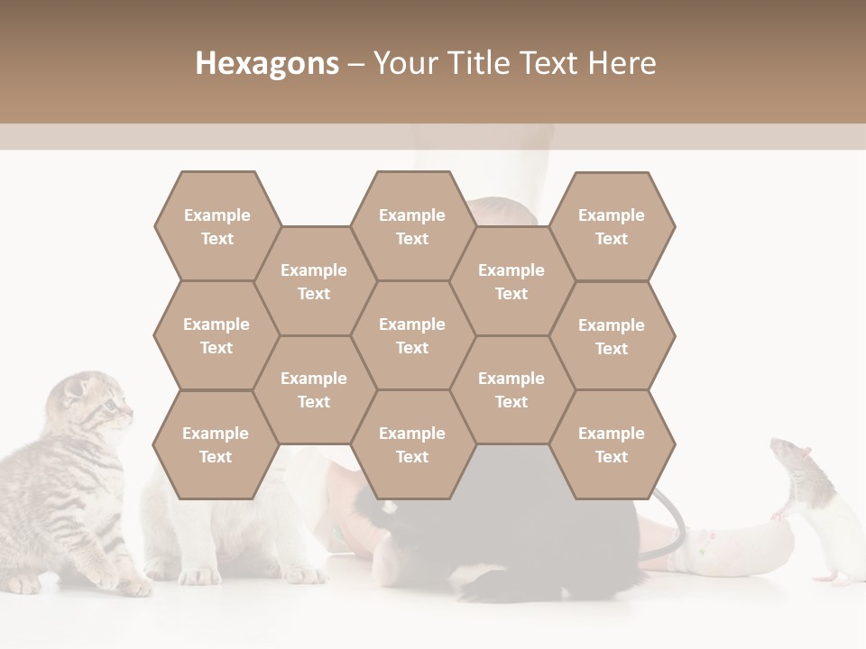 Wood Ancient Asian PowerPoint Template