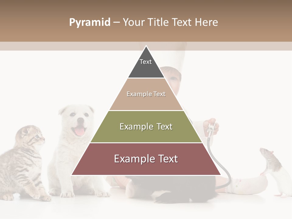 Wood Ancient Asian PowerPoint Template