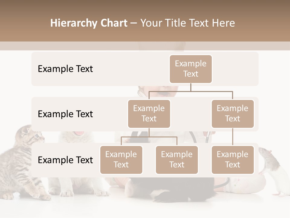 Wood Ancient Asian PowerPoint Template