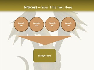 A Green Dragon Sitting On Top Of A White Background PowerPoint Template