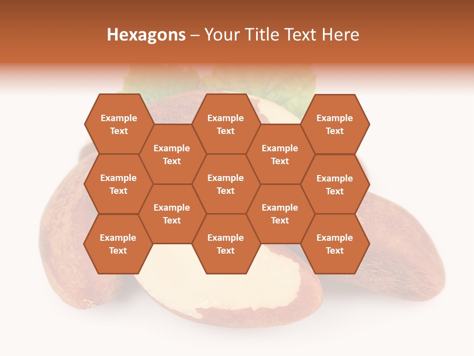 Brown Nut Ingredient PowerPoint Template
