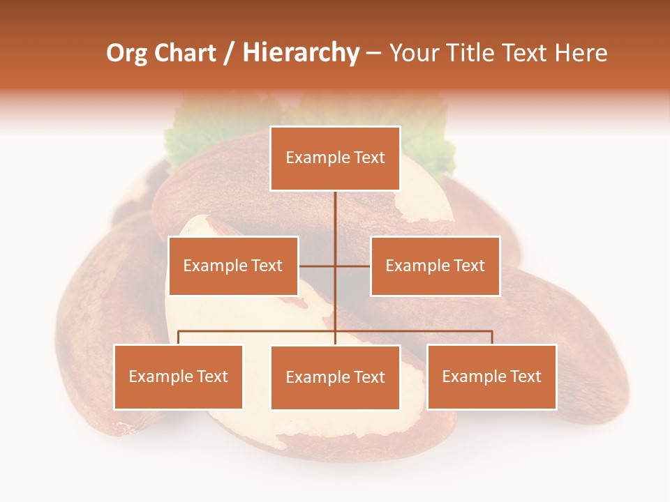 Brown Nut Ingredient PowerPoint Template