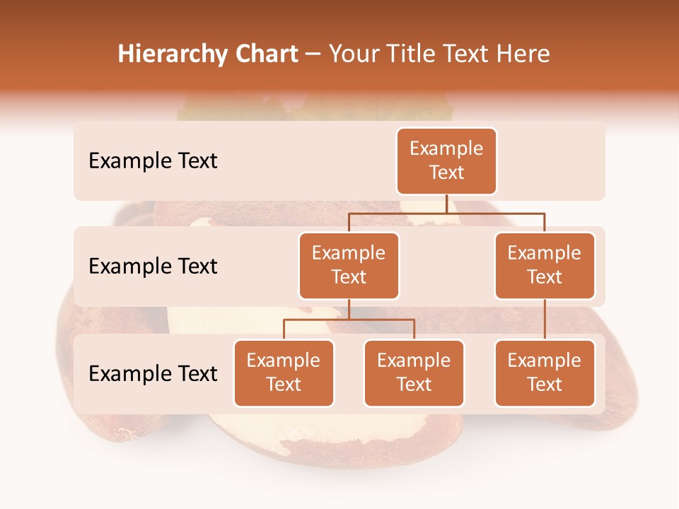 Brown Nut Ingredient PowerPoint Template