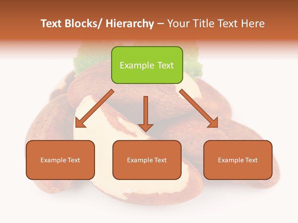 Brown Nut Ingredient PowerPoint Template