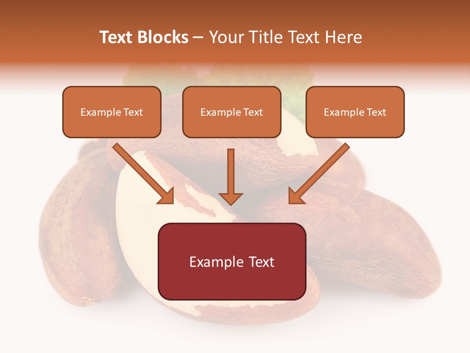 Brown Nut Ingredient PowerPoint Template