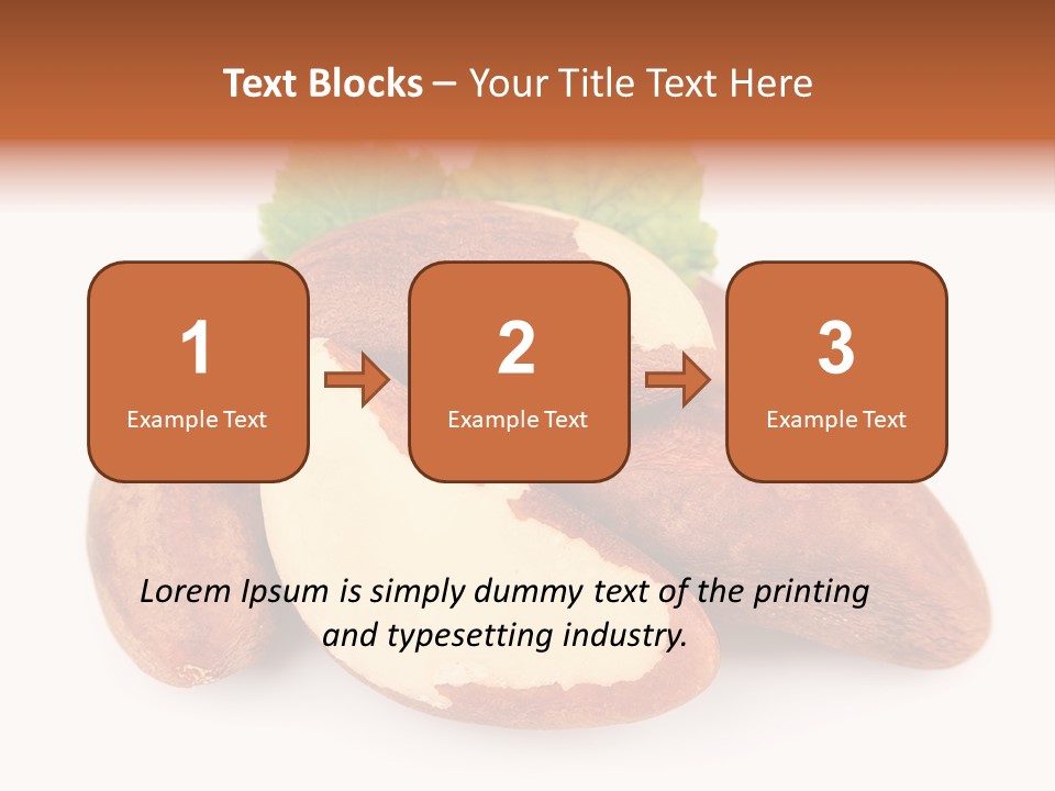 Brown Nut Ingredient PowerPoint Template