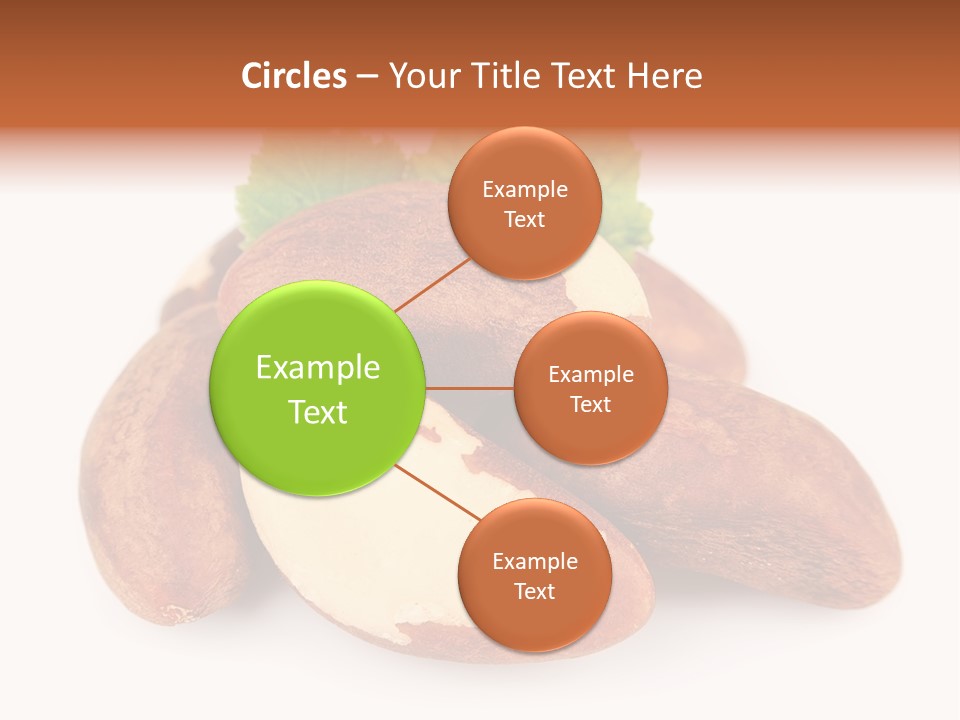 Brown Nut Ingredient PowerPoint Template