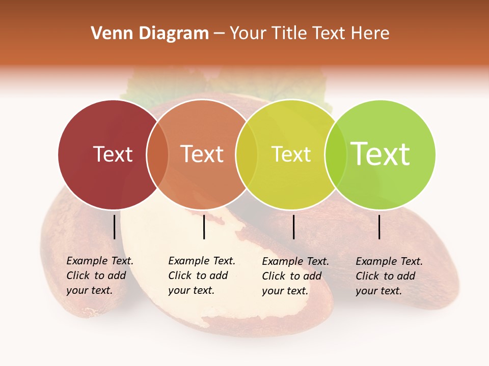 Brown Nut Ingredient PowerPoint Template